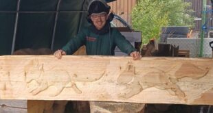 Kettensägenkunst auf dem Eichhörnchenweg: Neue Holz-Sitzgelegenheiten in Niederfischbach