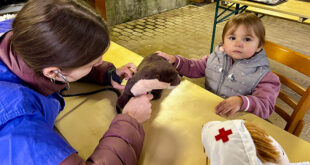 Erfolgreiche Premiere der Stofftierklinik im Tierpark Niederfischbach