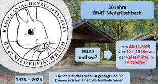 50 Jahre Rassekaninchenzuchtverein RN 47 Niederfischbach: Jubiläums-Vereinsmeisterschaft mit großer Kaninchenausstellung